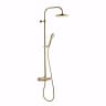 Sen tắm cây COTTO CPF300H1H2#GR2 1