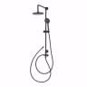Sen tắm cây nóng lạnh COTTO CT623Z94Z10D#BL 1