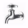 Vòi chậu gắn tường Cotto CT170C6(HM) 1
