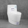 Bồn cầu 1 khối Densta DS 8007 KK 1