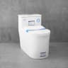 Bồn cầu 1 khối Densta DS 8069 KK 1