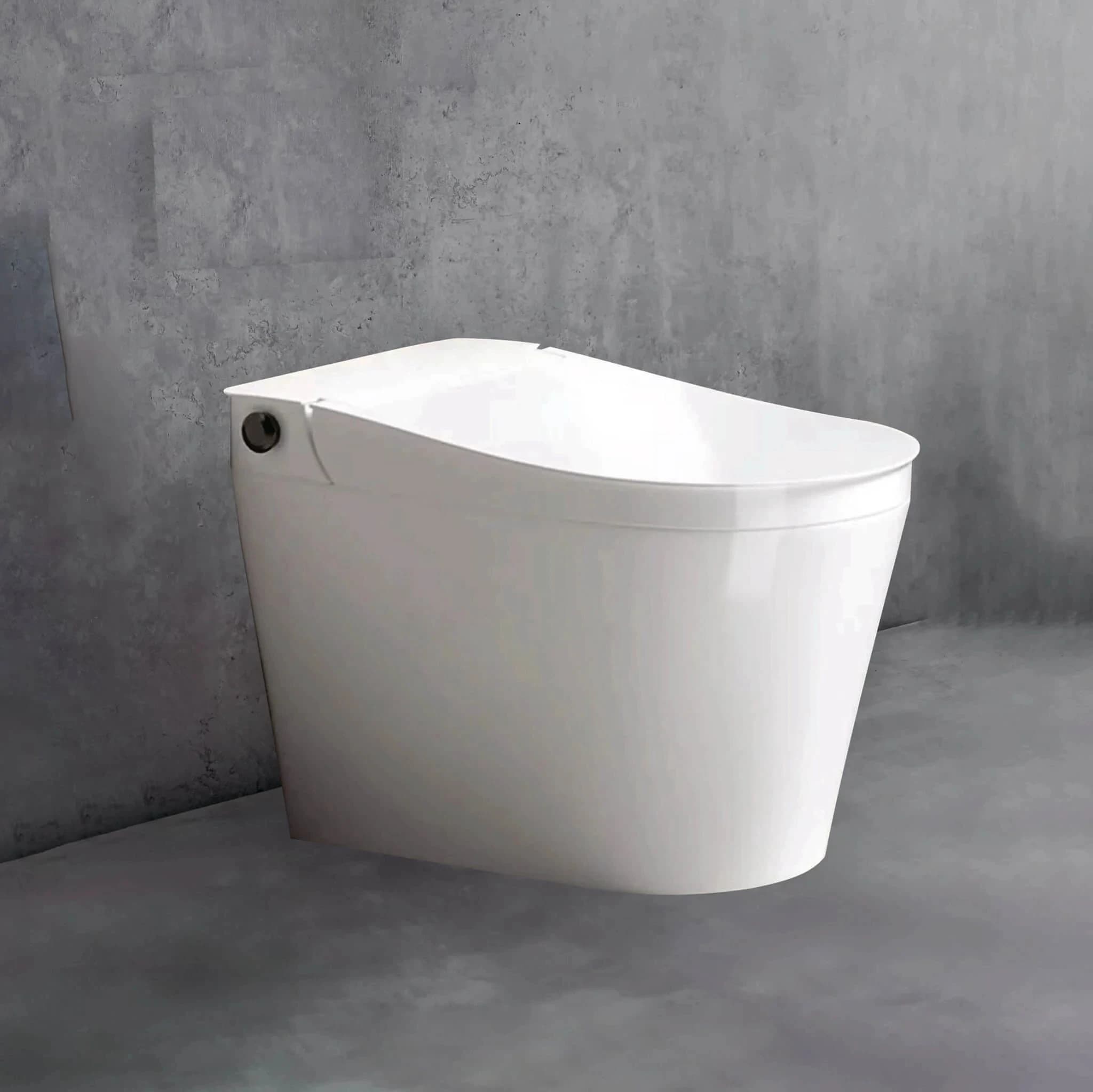 Bồn cầu âm tường Densta DS 501 KK