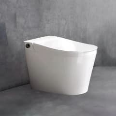 Bồn cầu âm tường Densta DS 501 KK