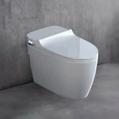 Bồn cầu âm tường Densta DS 503 KK