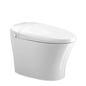 Bồn cầu thông minh Densta DS TA – 822 DF