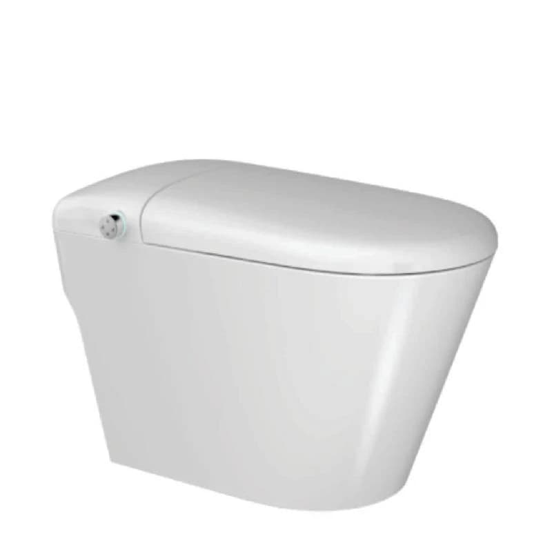 Bồn cầu thông minh Densta DS TA – T953 DF