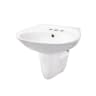 Chậu rửa treo tường Densta DS 1001 1