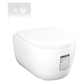 Bồn cầu âm tường Densta DS A 09.105 KK