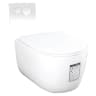 Bồn cầu âm tường Densta DS 7109.101 KK 1