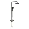 Sen tắm cây Densta DSSC9750 1