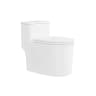 Bồn cầu 1 khối D&K DK-C2424 1