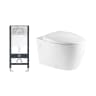 Bồn cầu âm tường D&K W205 1