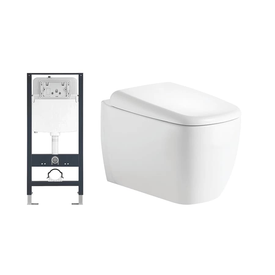Bồn cầu âm tường D&K W206