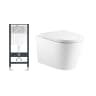 Bồn cầu âm tường D&K W207 1
