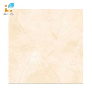 Ảnh Gạch Đồng Tâm 3030ROME002 1