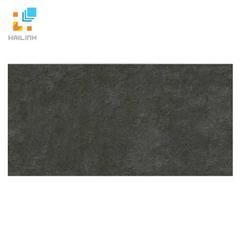 Ảnh Gạch Đồng Tâm 3060GECKO005 1