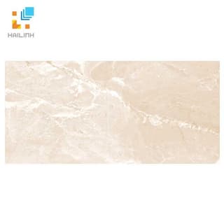 Ảnh Gạch Đồng Tâm 3060SAHARA010 1