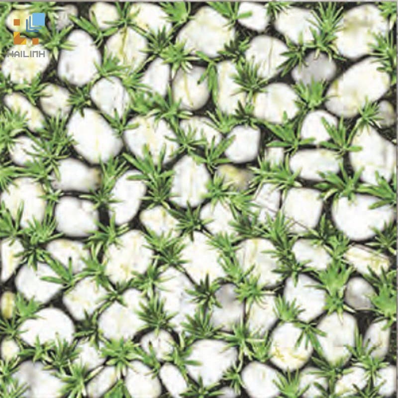 Gạch Đồng Tâm 4040CLG003