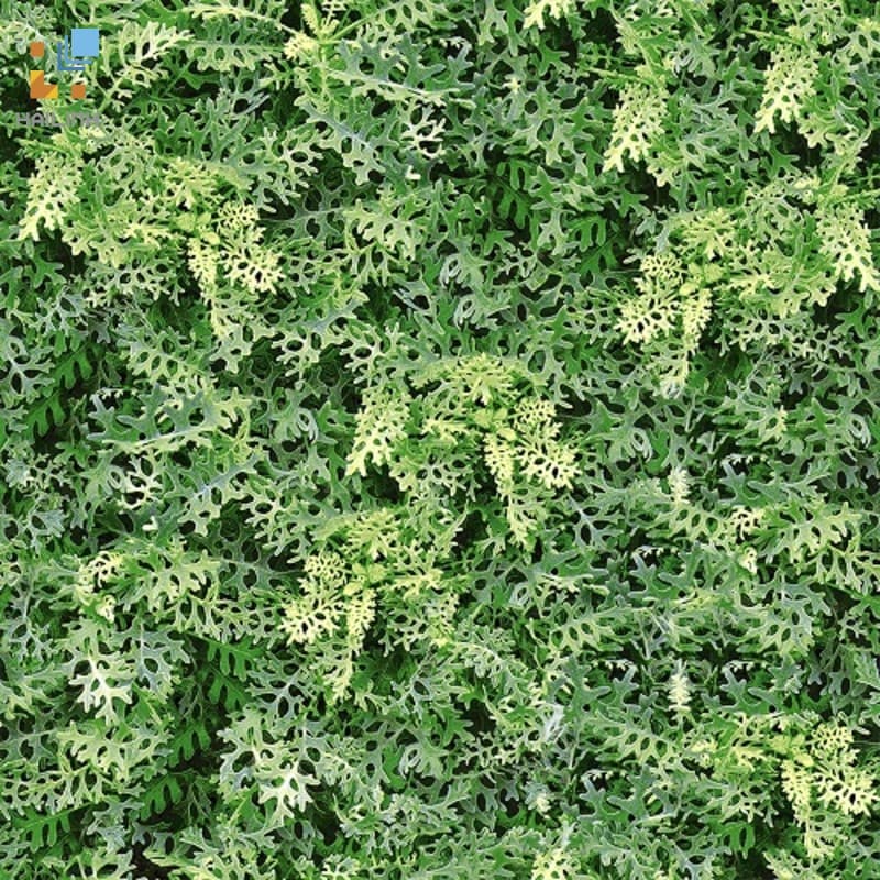 Gạch Đồng Tâm 4040GREENERY001