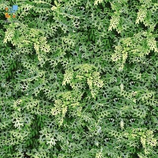 Ảnh Gạch Đồng Tâm 4040GREENERY001 1