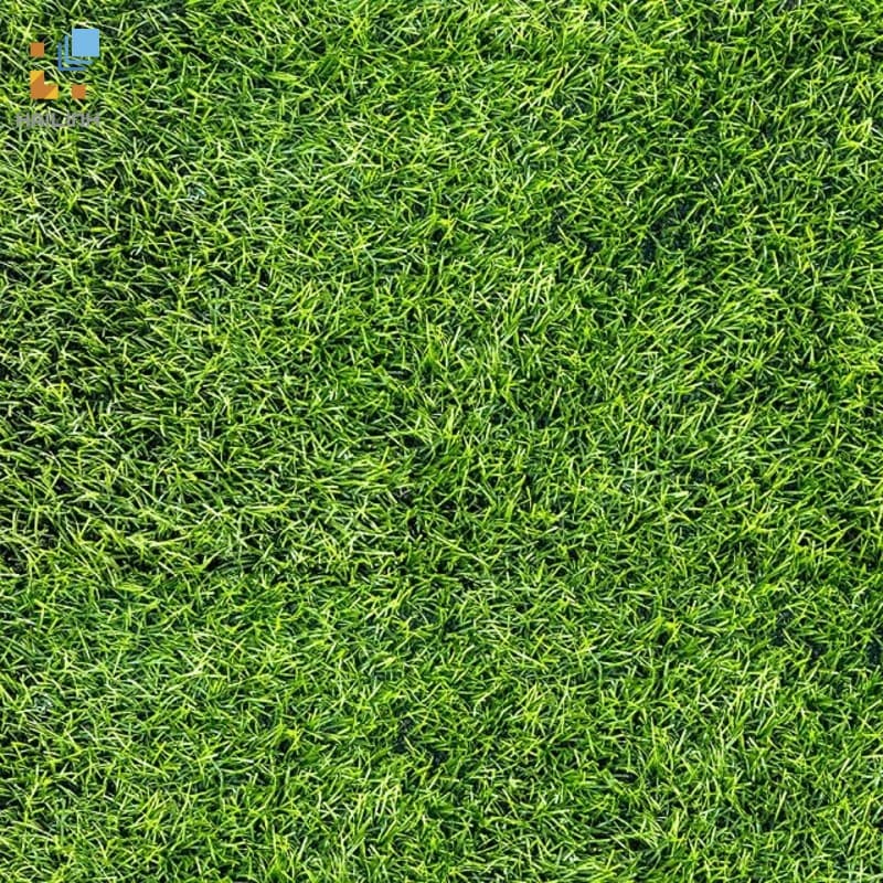 Gạch Đồng Tâm 4040GREENERY002