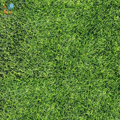Gạch Đồng Tâm 4040GREENERY002
