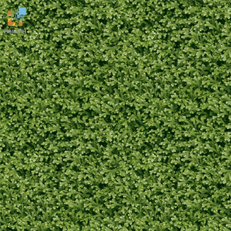 Gạch Đồng Tâm 4040THESEA001