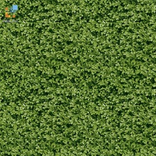 Ảnh Gạch Đồng Tâm 4040THESEA001 1