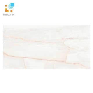 Ảnh Gạch Đồng Tâm 4080REGAL010-H+ 1