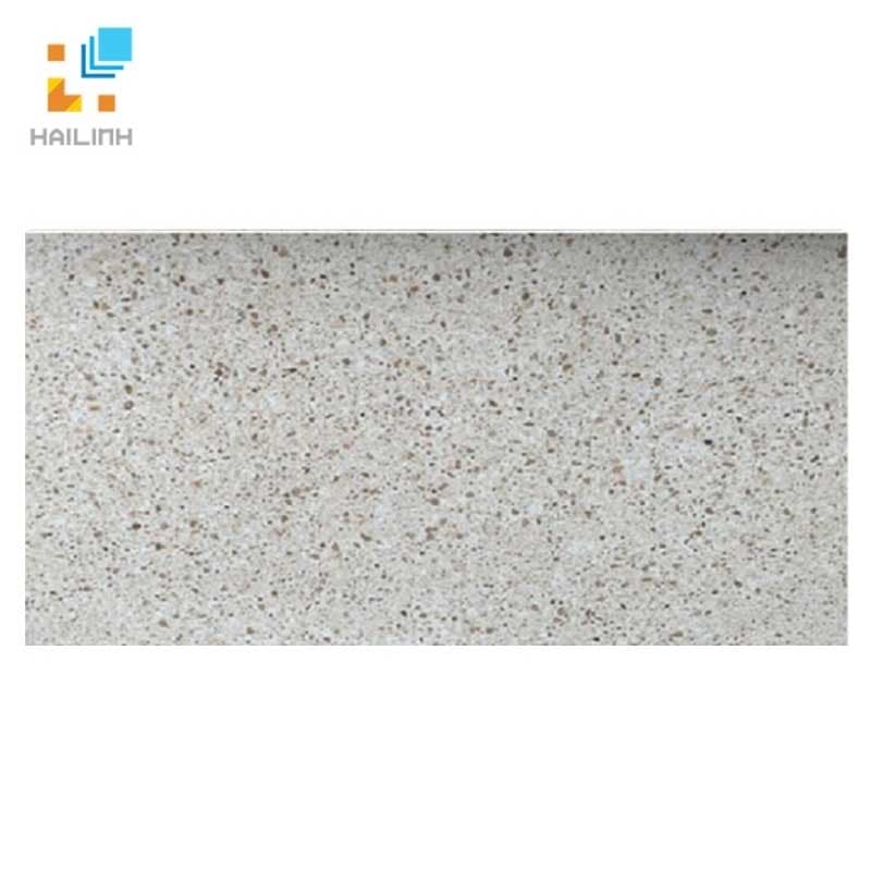 Gạch Đồng Tâm 4080TAYBAC003