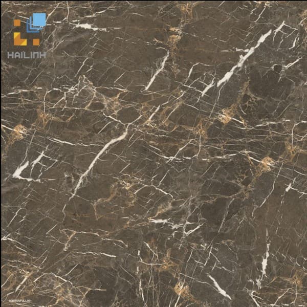 Gạch Đồng Tâm 6060HAIVAN007-FP