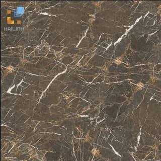 Ảnh Gạch Đồng Tâm 6060HAIVAN007-FP 1