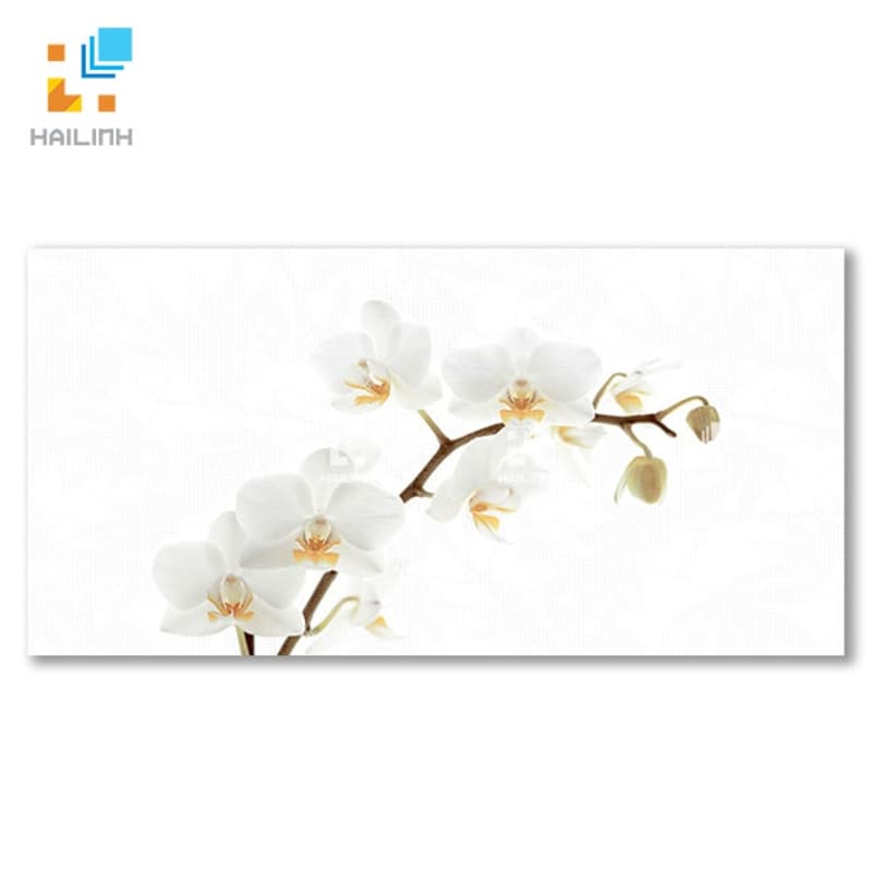 Gạch Đồng Tâm D4080ORCHID001-H+