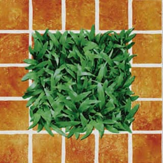 Ảnh GẠCH ĐỒNG TÂM 4040CLG002 1