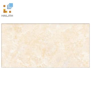 Gạch Đồng Tâm 1020ROCK008