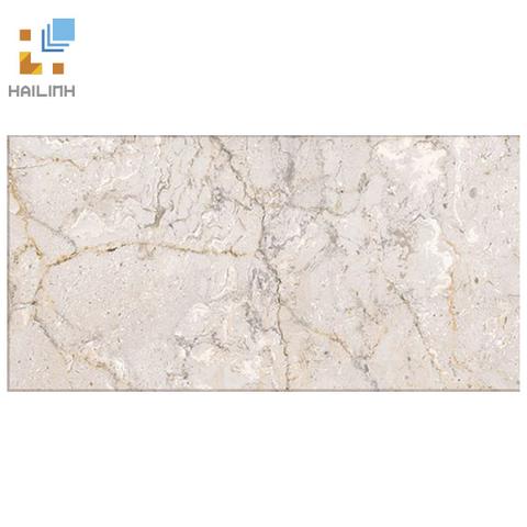 Gạch Đồng Tâm 1020ROCK009