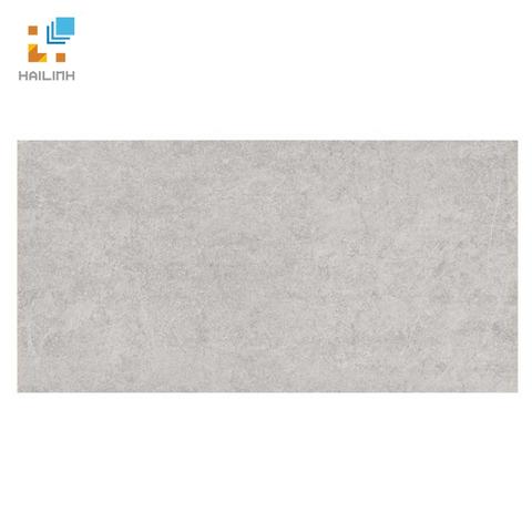 Gạch Đồng Tâm 3060GECKO001