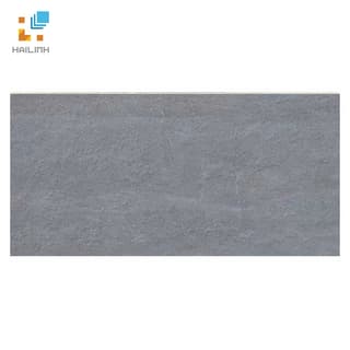 Ảnh Gạch Đồng Tâm 3060GECKO003 1