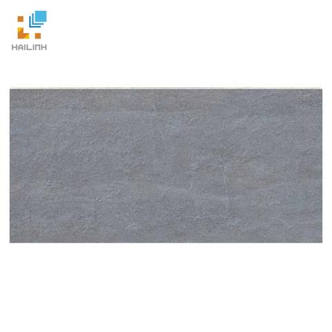 Gạch Đồng Tâm 3060GECKO003