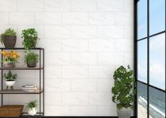 Ảnh Gạch Đồng Tâm 3060NOBLE001-H+ 3