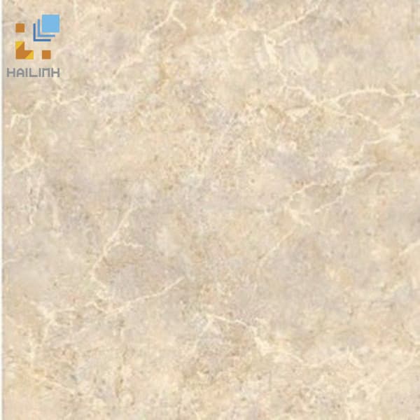 Gạch Đồng Tâm 462