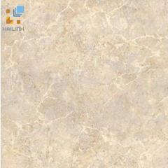 Ảnh Gạch Đồng Tâm 462 1