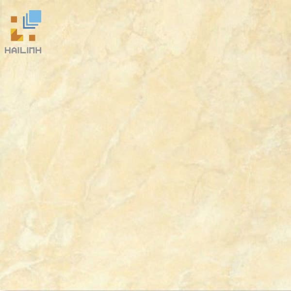 Gạch Đồng Tâm 469