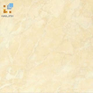 Ảnh Gạch Đồng Tâm 469 1