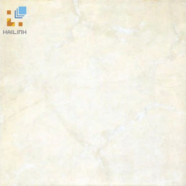 Gạch Đồng Tâm 481