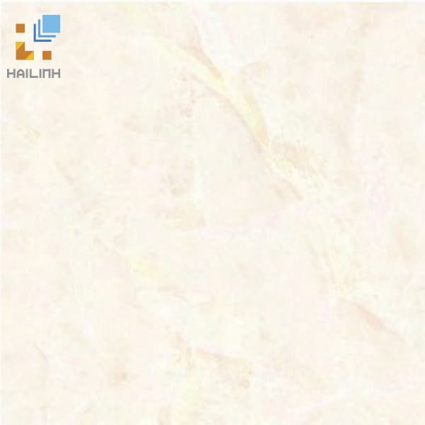 Gạch Đồng Tâm 484