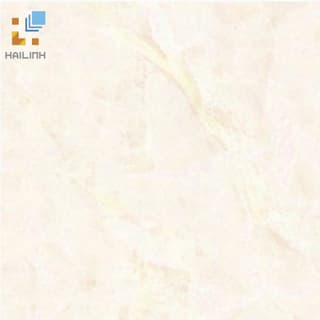 Ảnh Gạch Đồng Tâm 484 1