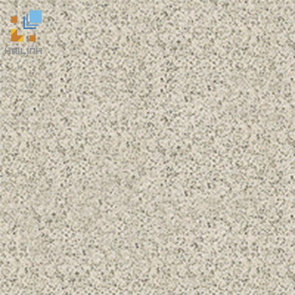 Gạch Đồng Tâm 4GA01