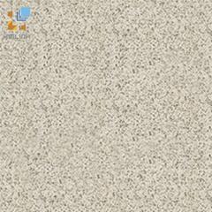 Gạch Đồng Tâm 4GA01