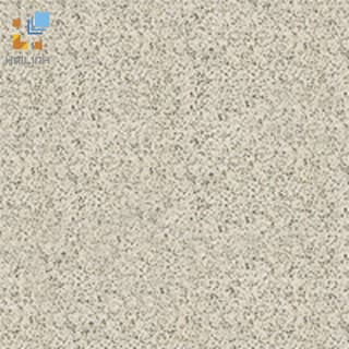 Ảnh Gạch Đồng Tâm 4GA01 1